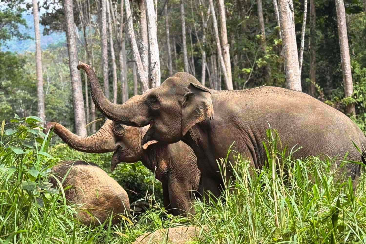 Les Incontournables de la Thailande 10J/7N - 8